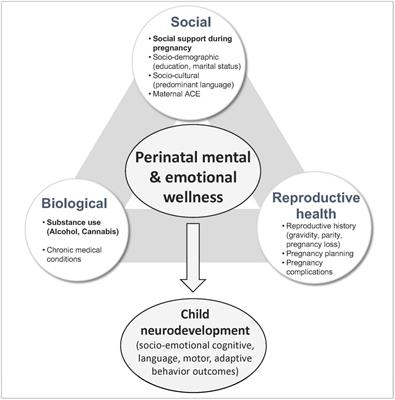 Potentially modifiable risk and protective factors affecting mental and emotional wellness in pregnancy